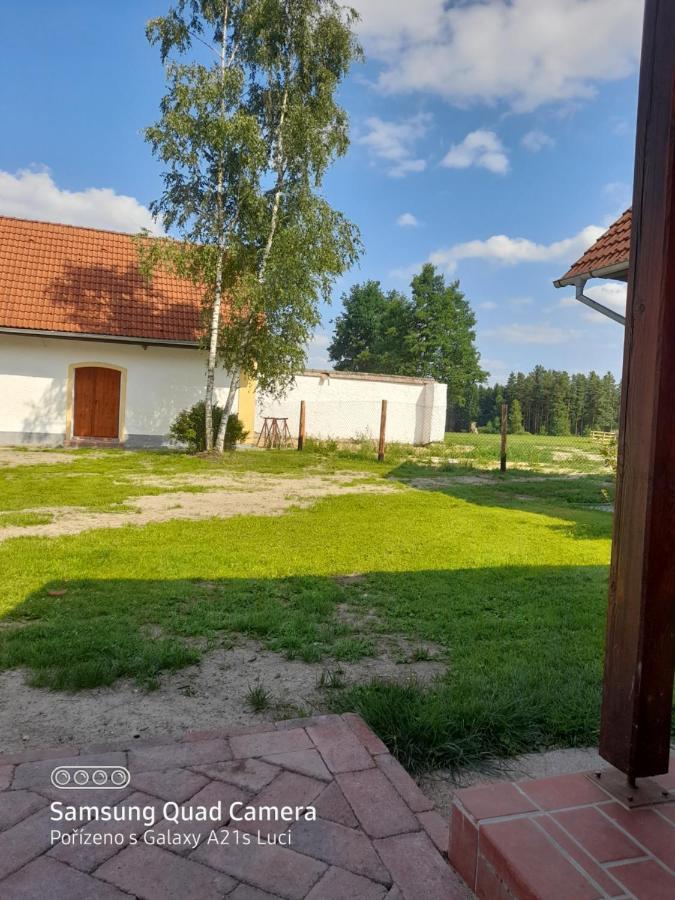 Apartament Kojan Jílovice Zewnętrze zdjęcie